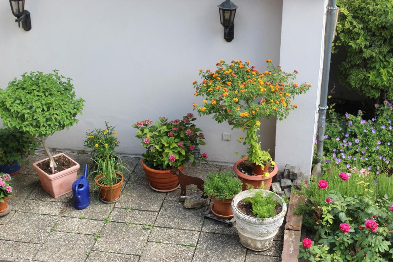 Auszeit Im Rheingau Apartment Eltville am Rhein Ngoại thất bức ảnh
